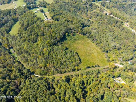 Photo of 427 Daniel Hollow Rd, New Tazewell, TN 37825 (MLS # 1318170)