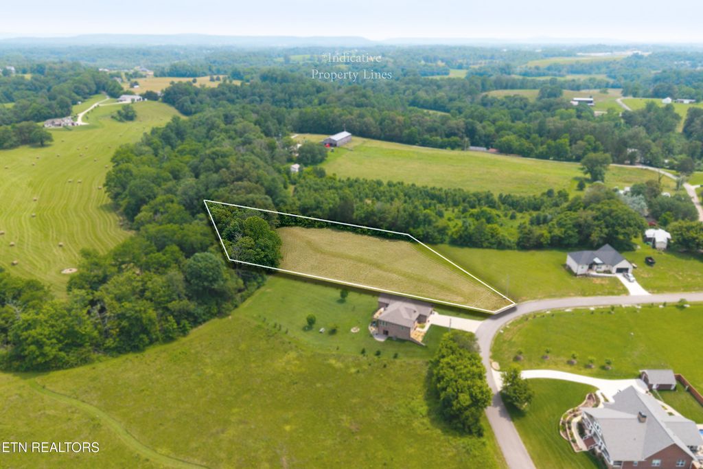 Photo of 738 Blue Water Drive, Cookeville, TN 38506 (MLS # 1329695)