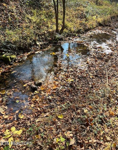 Tiny photo for 324 Vannoy Rd, Tazewell, TN 37879 (MLS # 1340772)