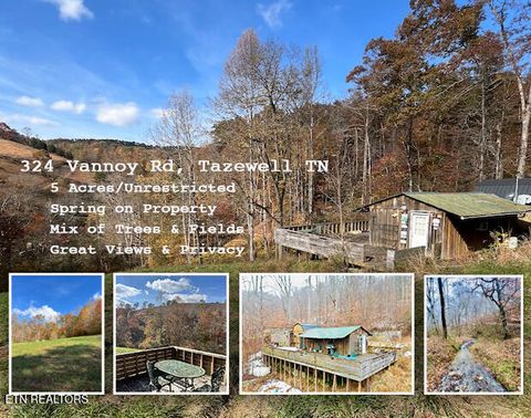 Photo of 324 Vannoy Rd, Tazewell, TN 37879 (MLS # 1340772)