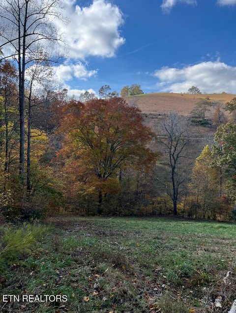 Tiny photo for 324 Vannoy Rd, Tazewell, TN 37879 (MLS # 1340772)