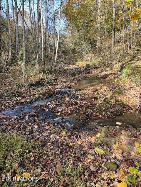 Tiny photo for 324 Vannoy Rd, Tazewell, TN 37879 (MLS # 1340772)