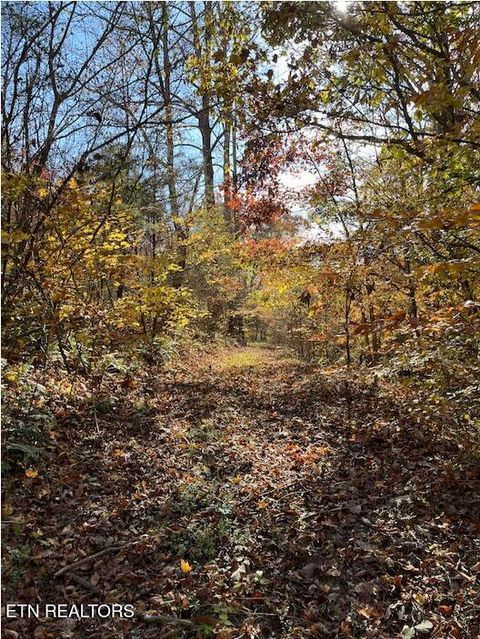 Tiny photo for 324 Vannoy Rd, Tazewell, TN 37879 (MLS # 1340772)
