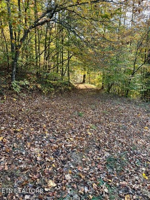 Tiny photo for 324 Vannoy Rd, Tazewell, TN 37879 (MLS # 1340772)