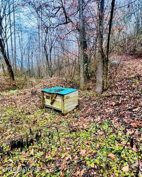 Tiny photo for 324 Vannoy Rd, Tazewell, TN 37879 (MLS # 1340772)