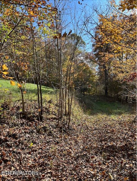 Tiny photo for 324 Vannoy Rd, Tazewell, TN 37879 (MLS # 1340772)
