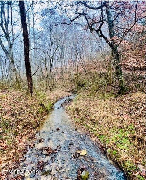 Tiny photo for 324 Vannoy Rd, Tazewell, TN 37879 (MLS # 1340772)