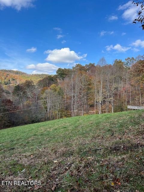 Tiny photo for 324 Vannoy Rd, Tazewell, TN 37879 (MLS # 1340772)