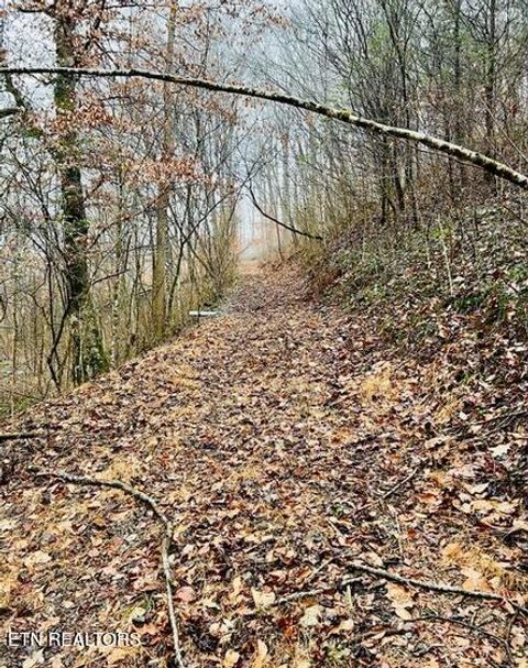 Tiny photo for 324 Vannoy Rd, Tazewell, TN 37879 (MLS # 1340772)