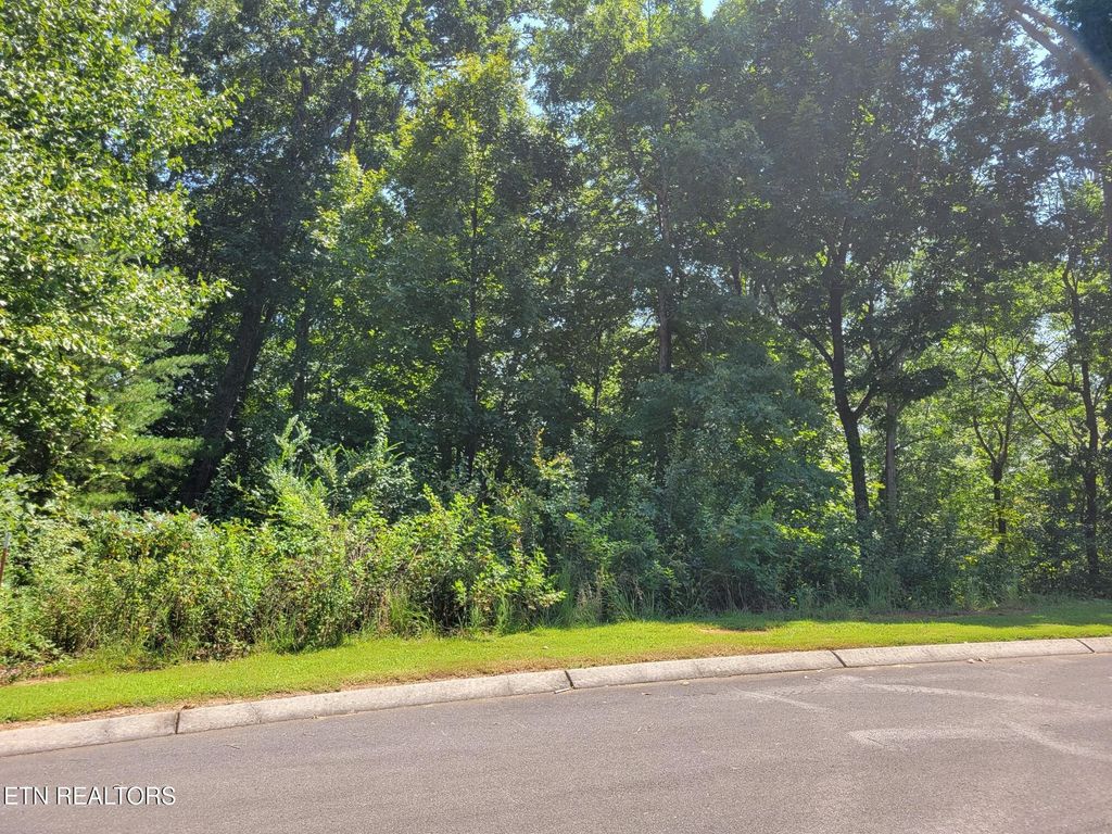 Photo of 5 Sugar Maple Court, Madisonville, TN 37354 (MLS # 1317430)