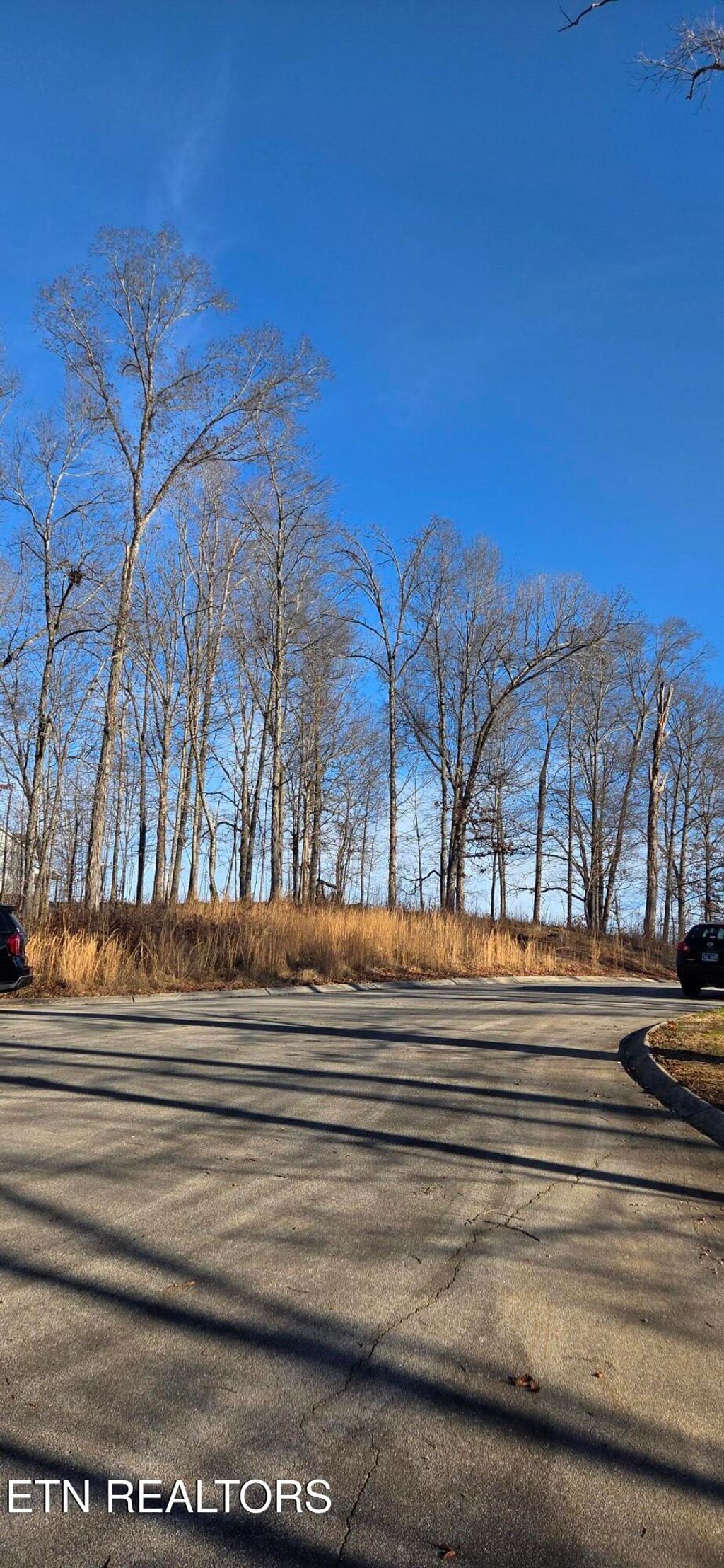 Photo of 5 Sugar Maple Court, Madisonville, TN 37354 (MLS # 1317430)