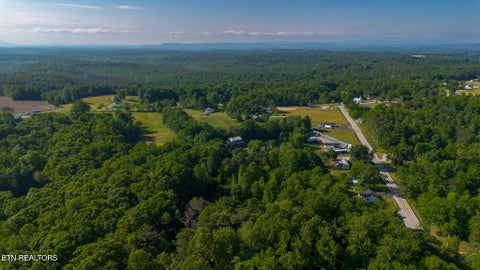 Tiny photo for 140 Walnut St, Deer Lodge, TN 37726 (MLS # 1341930)