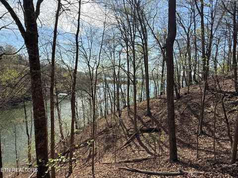 Tiny photo for 40 Eerie Point #40, Rockwood, TN 37854 (MLS # 1335180)