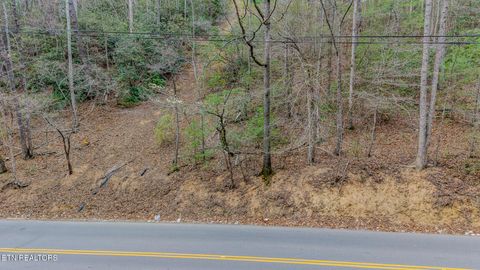 Tiny photo for Proffitt Rd #Lot G, Gatlinburg, TN 37738 (MLS # 1334514)