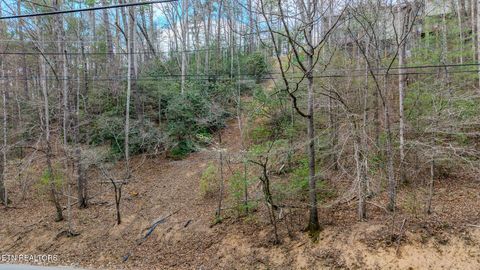 Tiny photo for Proffitt Rd #Lot G, Gatlinburg, TN 37738 (MLS # 1334514)