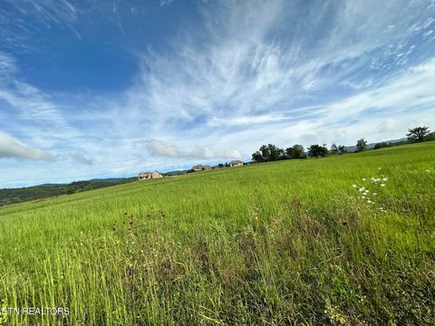 Tiny photo for 13 Bluebird Lane, Speedwell, TN 37870 (MLS # 1332091)