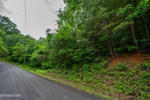 Tiny photo for 0 Aaron St, Sevierville, TN 37876 (MLS # 1340414)