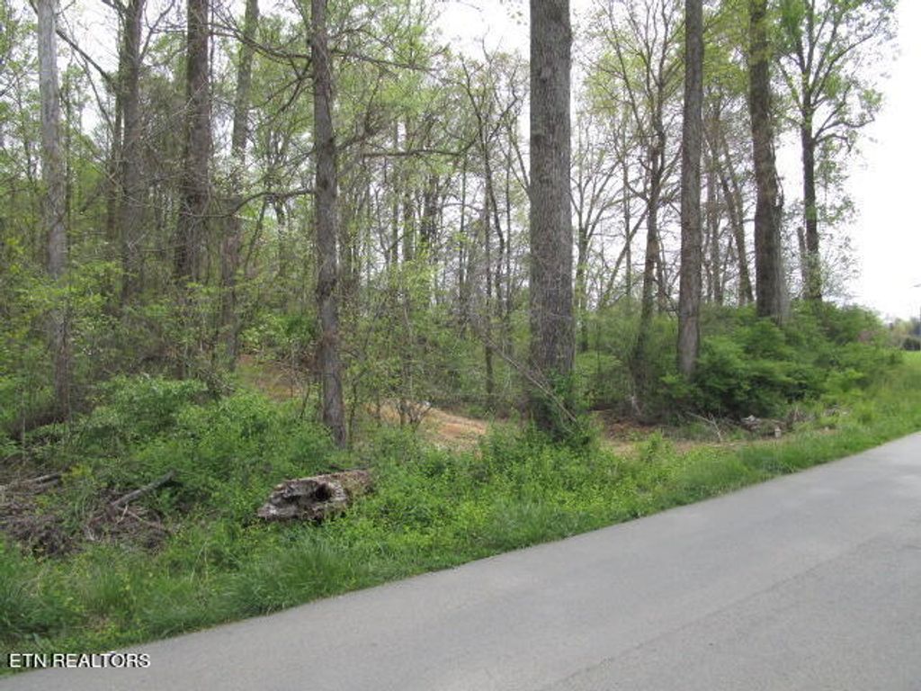 Photo of 10 McBee Mill Rd, Blaine, TN 37709 (MLS # 1255798)