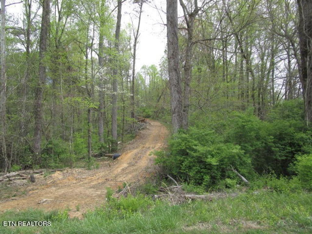 Photo of 10 McBee Mill Rd, Blaine, TN 37709 (MLS # 1255798)