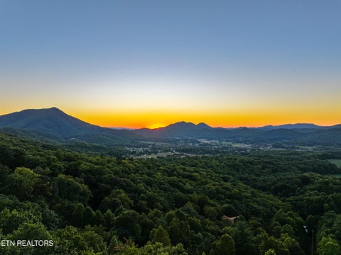 Tiny photo for 3101 Lexy Lane, Sevierville, TN 37862 (MLS # 1359368)
