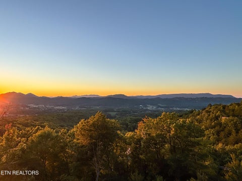 Tiny photo for 3101 Lexy Lane, Sevierville, TN 37862 (MLS # 1359368)