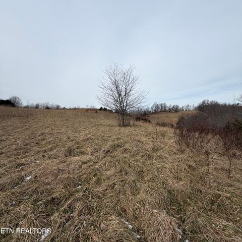 Tiny photo for TBD RUSSELL RIDGE Rd, Speedwell, TN 37870 (MLS # 1328416)