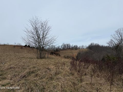 Tiny photo for TBD RUSSELL RIDGE Rd, Speedwell, TN 37870 (MLS # 1328416)