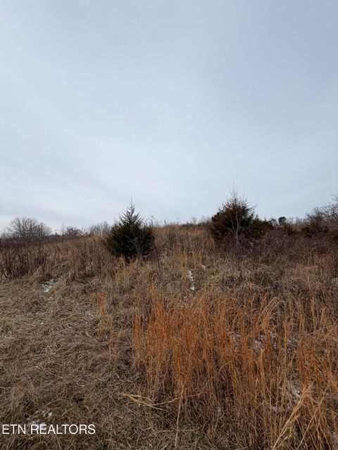 Tiny photo for TBD RUSSELL RIDGE Rd, Speedwell, TN 37870 (MLS # 1328416)