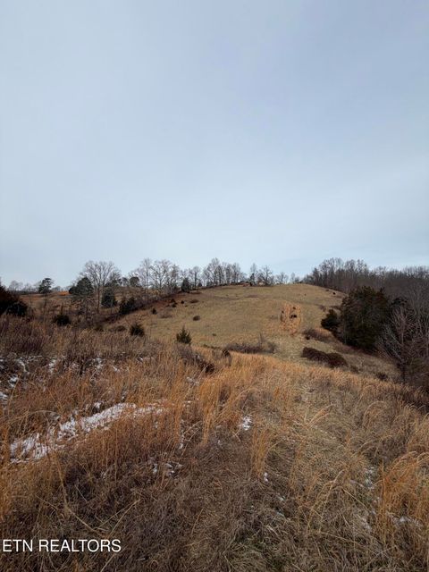 Tiny photo for TBD RUSSELL RIDGE Rd, Speedwell, TN 37870 (MLS # 1328416)