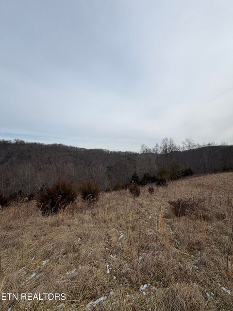 Tiny photo for TBD RUSSELL RIDGE Rd, Speedwell, TN 37870 (MLS # 1328416)