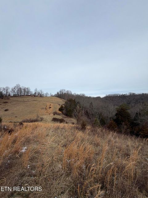 Tiny photo for TBD RUSSELL RIDGE Rd, Speedwell, TN 37870 (MLS # 1328416)
