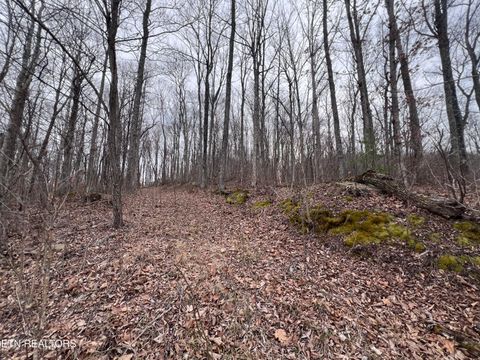Photo of Lot 62 Apache Rd, Jamestown, TN 38556 (MLS # 1330538)