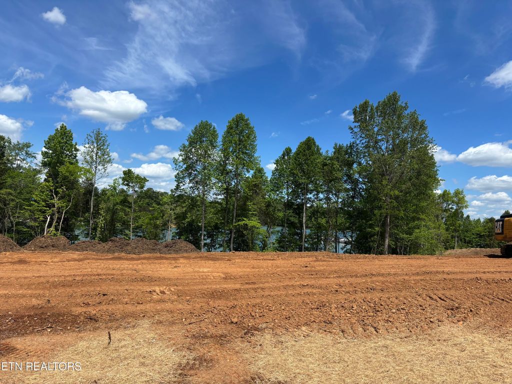 Photo of 132 Agaya Tr, Vonore, TN 37885 (MLS # 1338654)