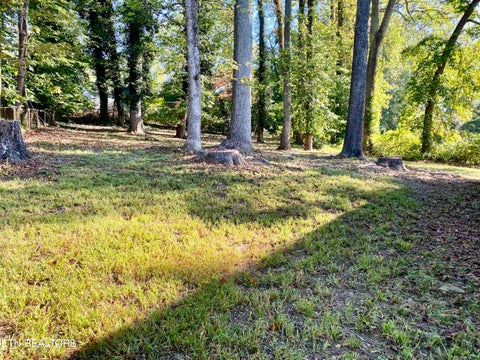 Tiny photo for 162 W Wadsworth Circle, Oak Ridge, TN 37830 (MLS # 1357995)