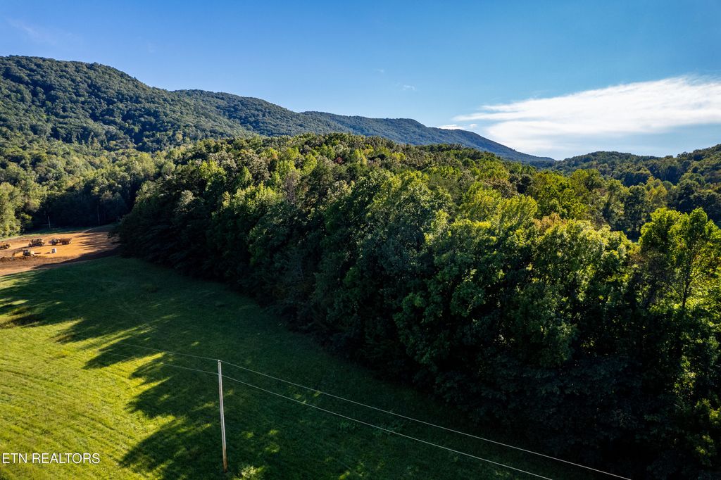 Photo of 4750 E Lamar Alexander Pkwy, Walland, TN 37886 (MLS # 1317583)