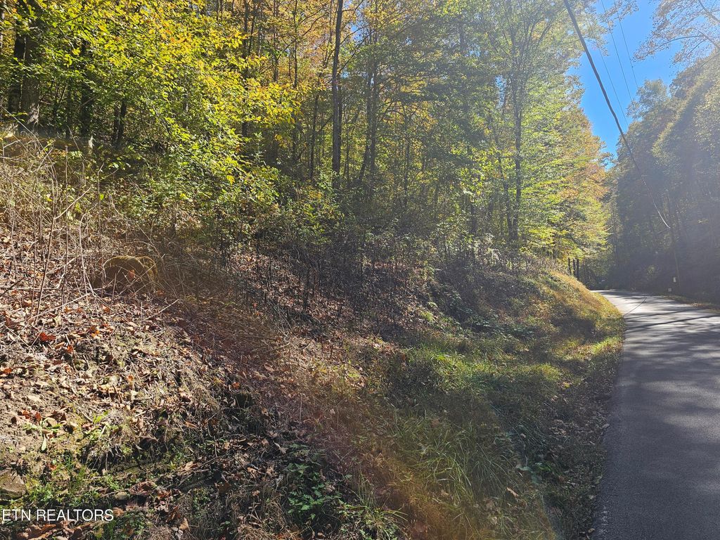 Photo of Joe Mill Creek Rd, Thorn Hill, TN 37881 (MLS # 1280139)