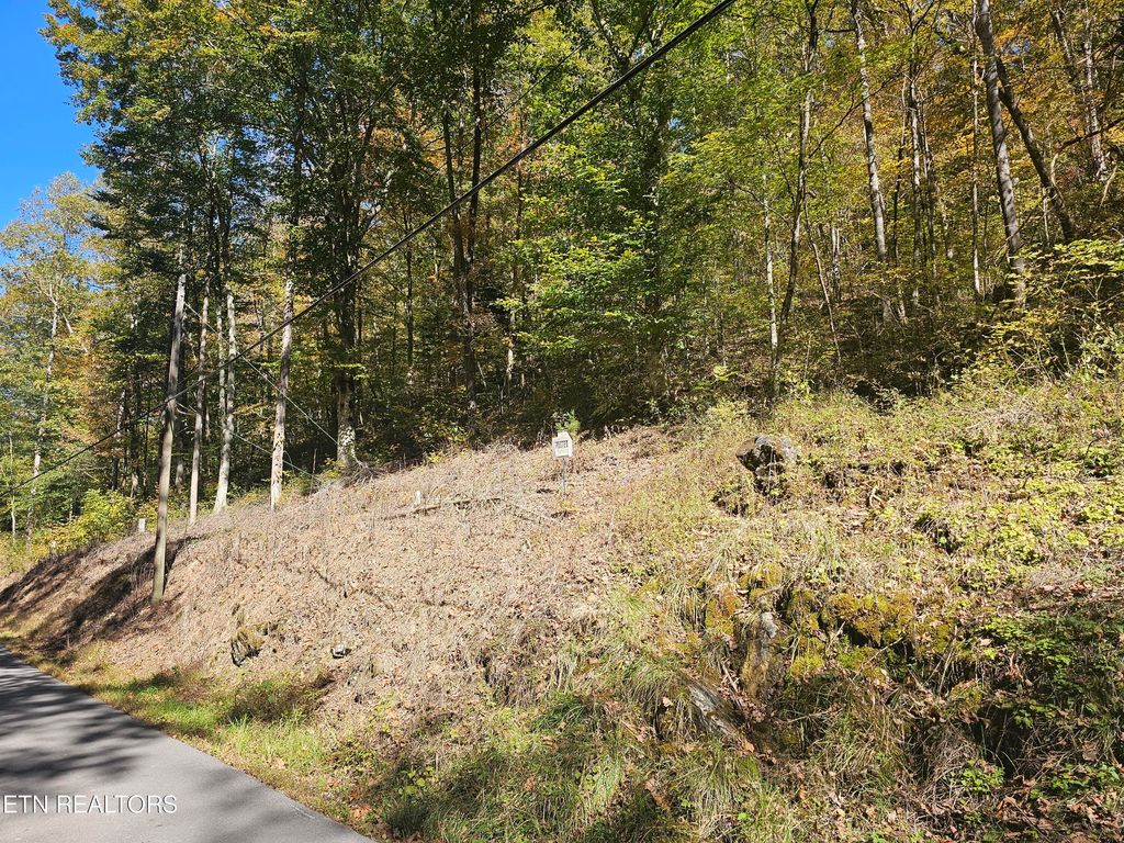 Photo of Joe Mill Creek Rd, Thorn Hill, TN 37881 (MLS # 1280139)