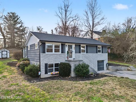 Photo of 220 Susong Lane, Greeneville, TN 37743 (MLS # 1337720)