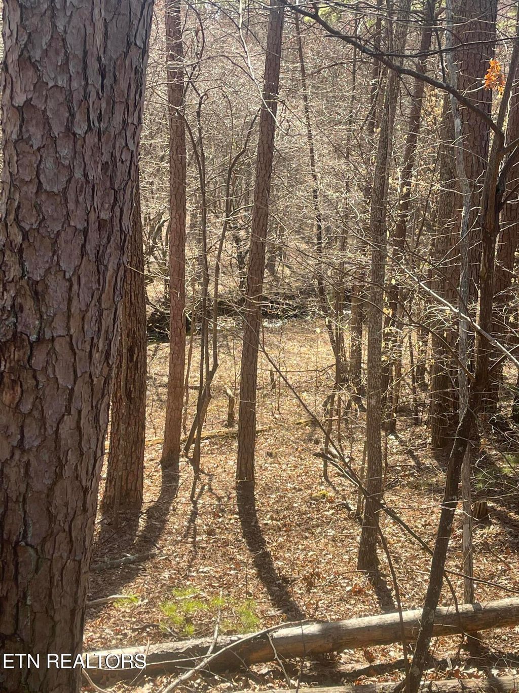 Photo of Tilley Rd, Tellico Plains, TN 37385 (MLS # 1294258)