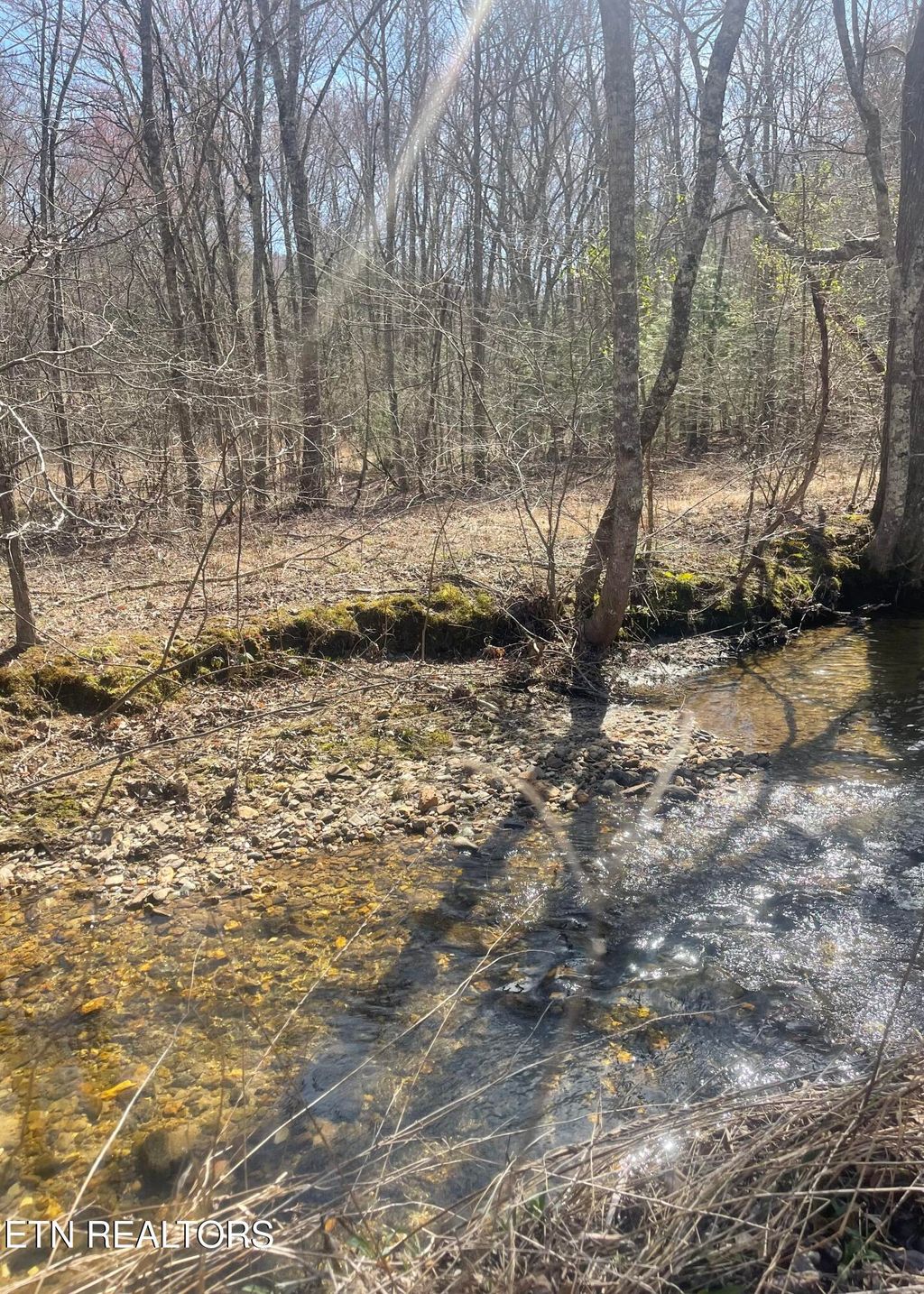 Photo of Tilley Rd, Tellico Plains, TN 37385 (MLS # 1294258)