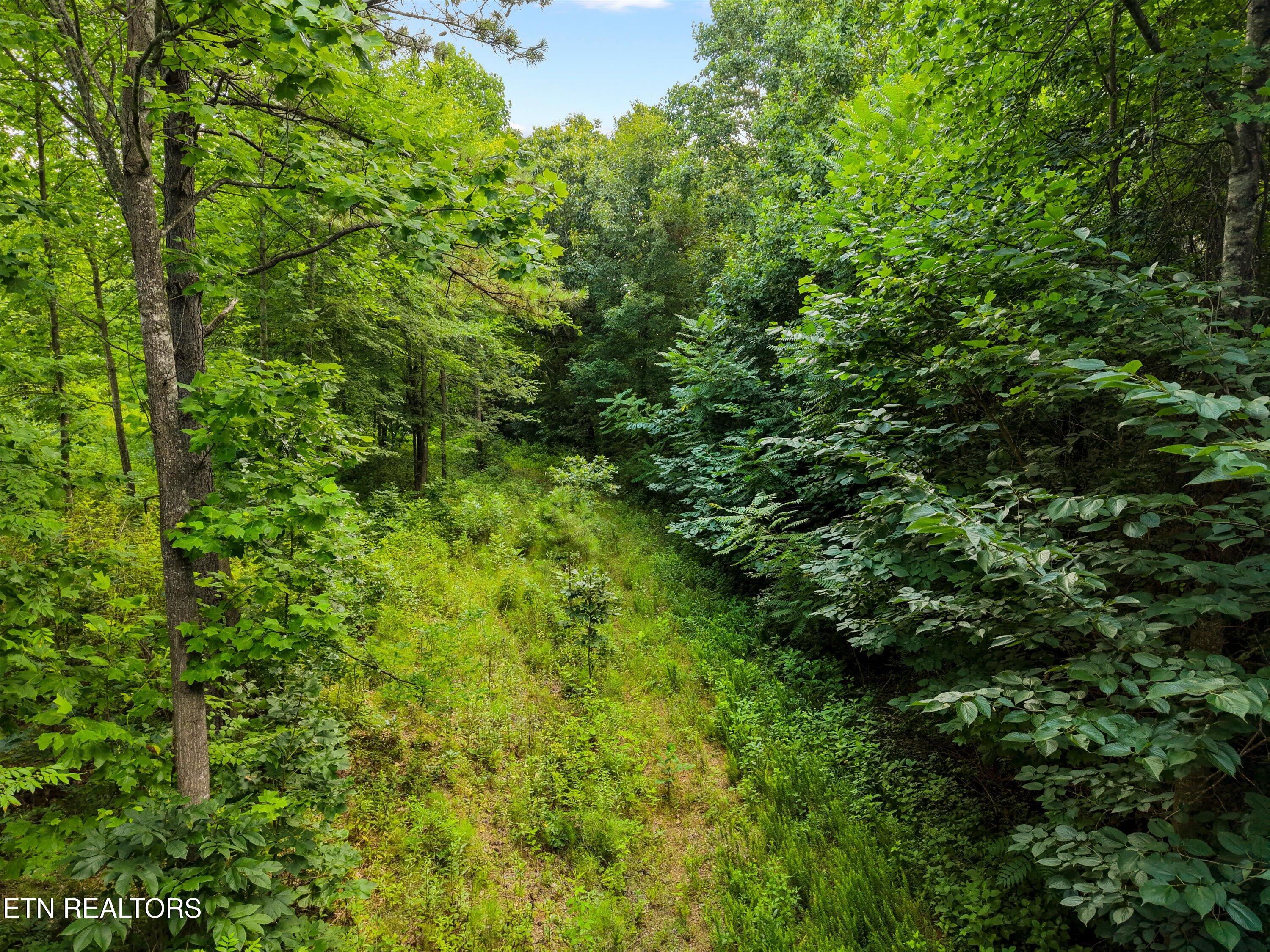 13252 Flatwoods Rd