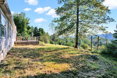 Tiny photo for 535 Mcdowell Lane, Decatur, TN 37322 (MLS # 1315606)