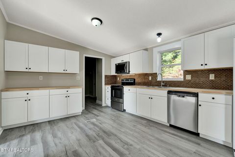 Tiny photo for 535 Mcdowell Lane, Decatur, TN 37322 (MLS # 1315606)