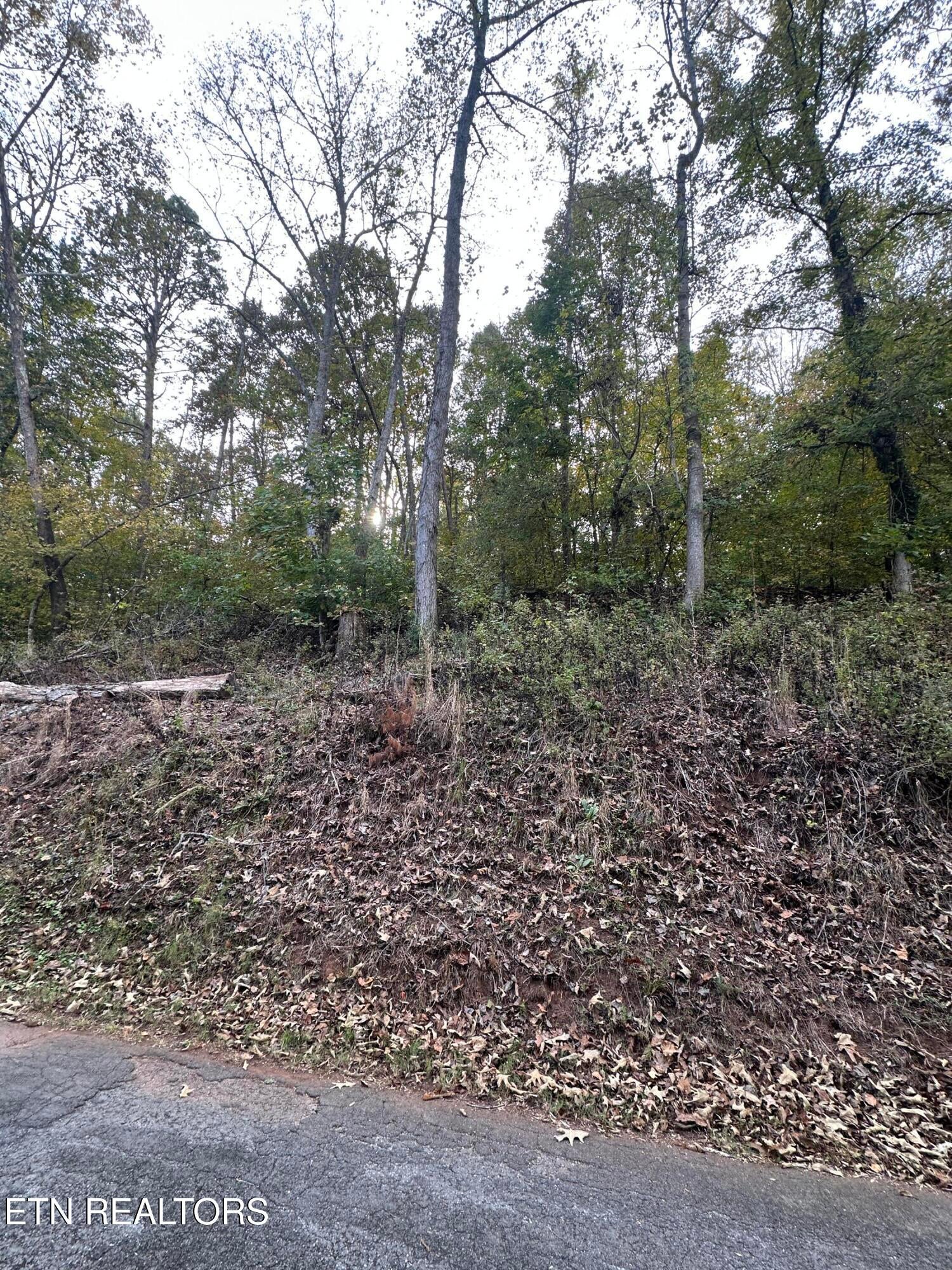 Wrights Ferry Rd
