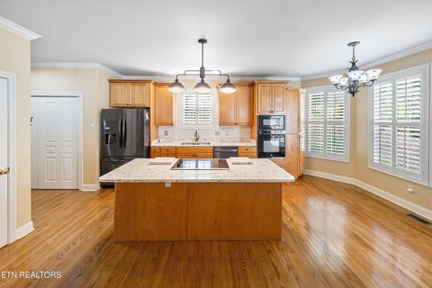 Tiny photo for 1110 Spy Glass Way, Knoxville, TN 37922 (MLS # 1334887)