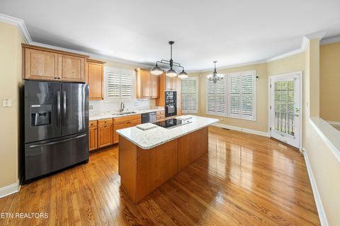 Tiny photo for 1110 Spy Glass Way, Knoxville, TN 37922 (MLS # 1334887)