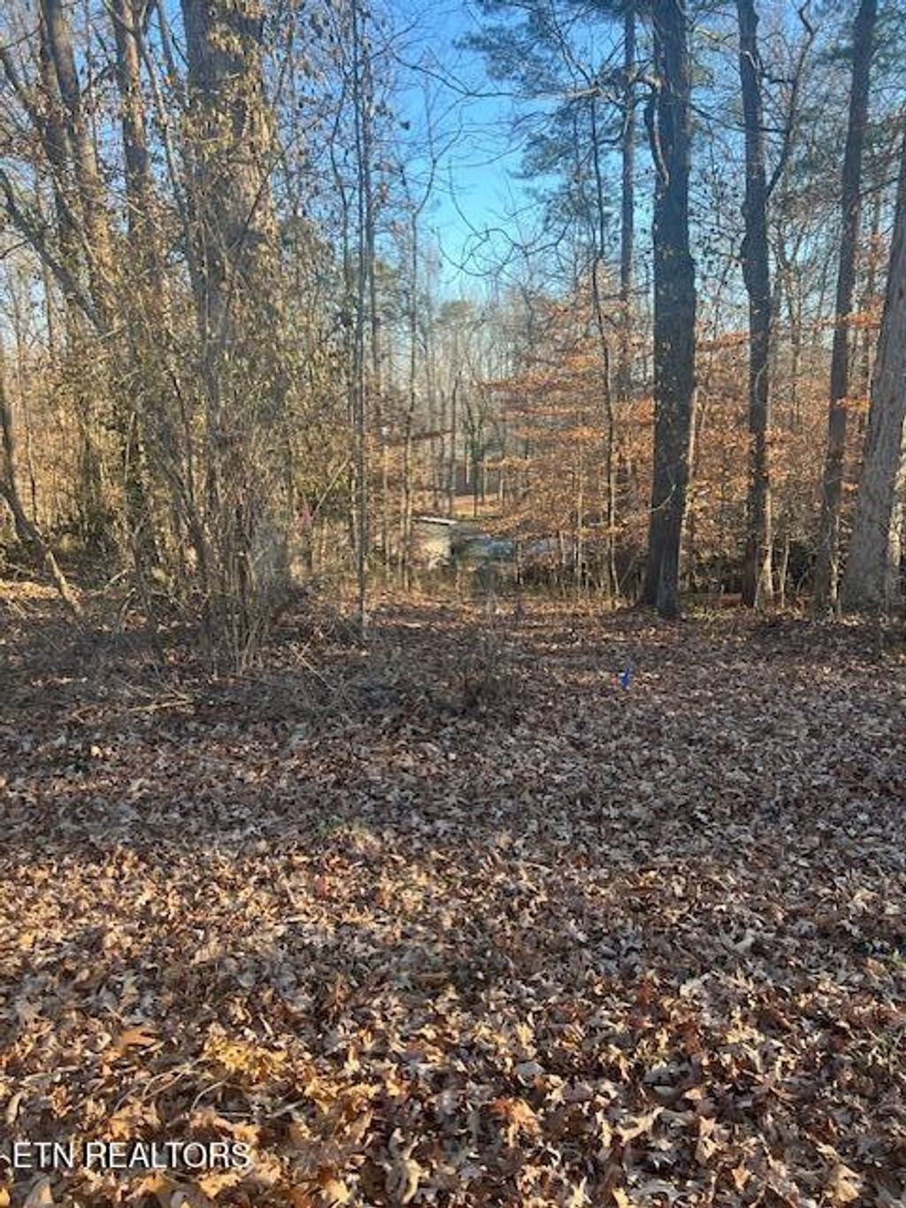 Photo of Beechwood Lane, Clinton, TN 37716 (MLS # 1303255)