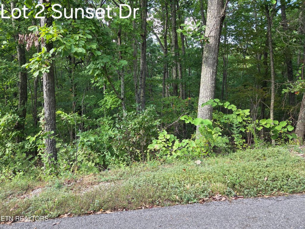 Photo of 2 Sunset Drive, Sevierville, TN 37876 (MLS # 1314720)