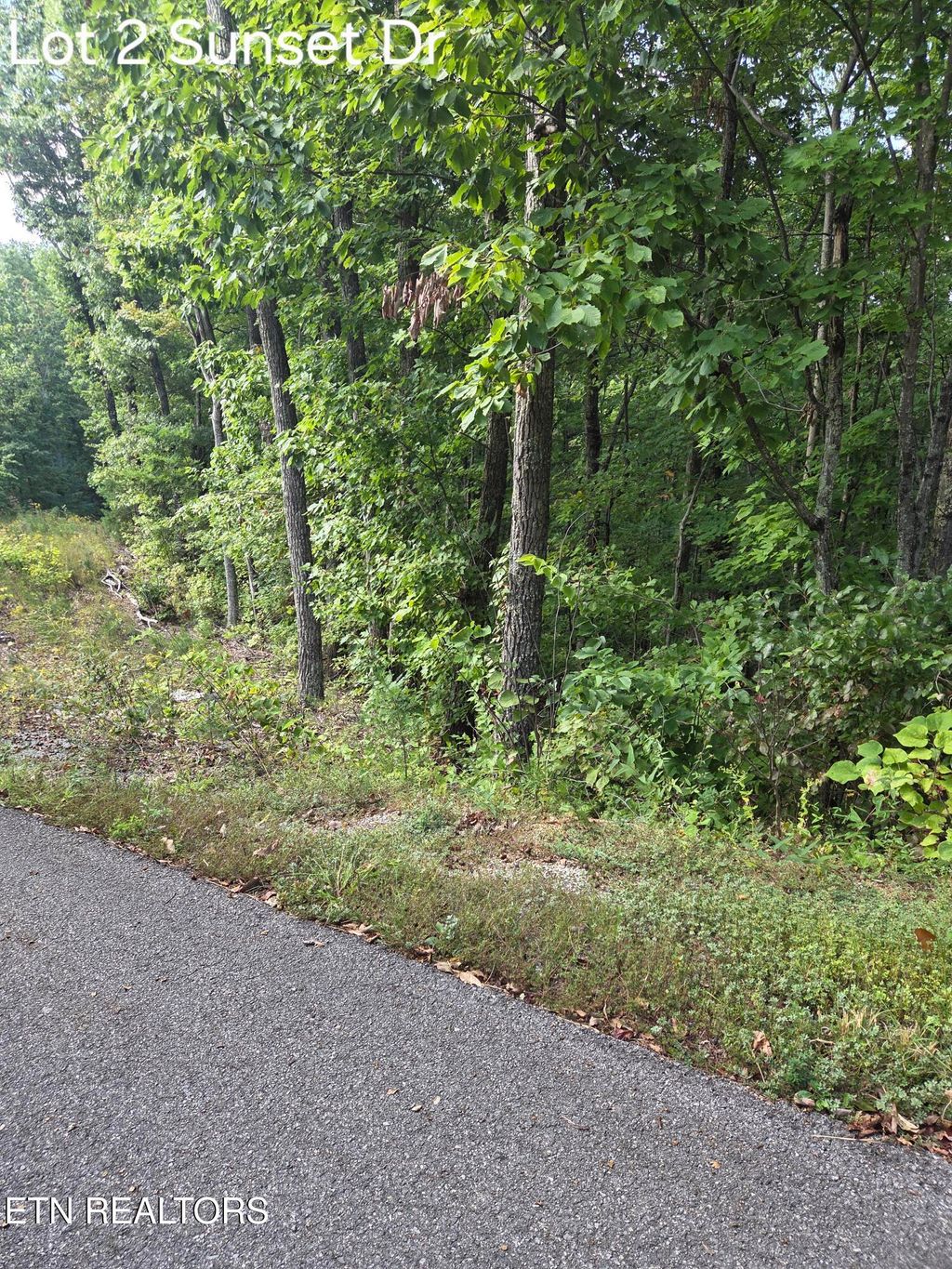 Photo of 2 Sunset Drive, Sevierville, TN 37876 (MLS # 1314720)