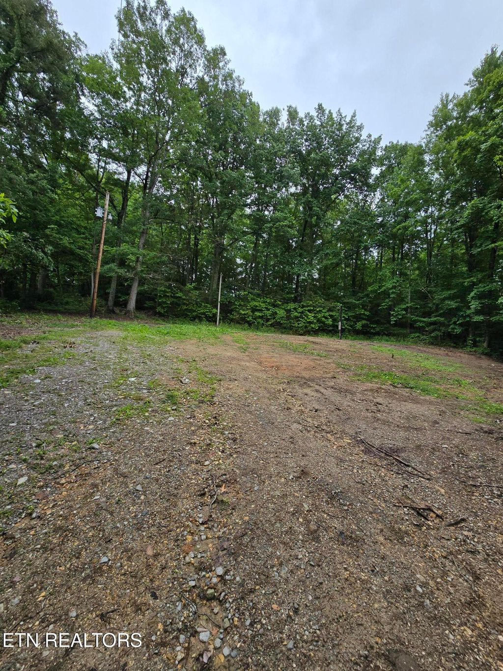 Photo of 689 Ivey Hollow Rd, LaFollette, TN 37766 (MLS # 1302564)